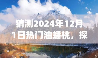 探索未来热门油蟠桃，一场心灵之旅，遇见自然秘境的惊喜（2024年12月1日）