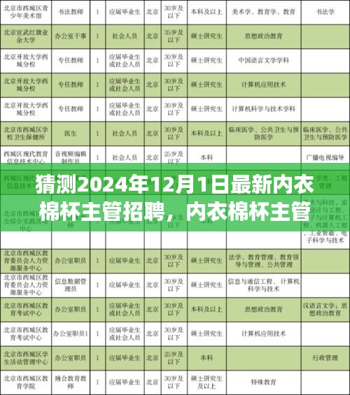 内衣棉杯主管岗位应聘全攻略，从初学者到进阶用户的应聘成功指南（面向2024年最新招聘）