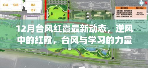 台风红霞最新动态，逆风中的力量与成就感的诞生之旅