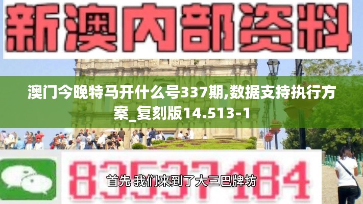 澳门今晚特马开什么号337期,数据支持执行方案_复刻版14.513-1