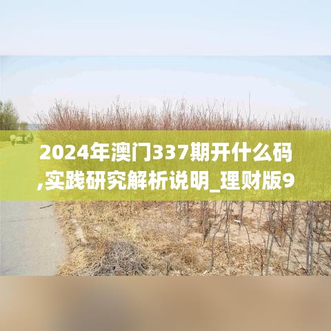 2024年澳门337期开什么码,实践研究解析说明_理财版99.310-6