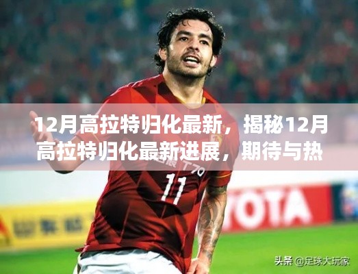 揭秘高拉特归化进展，足球界期待已久的大事件即将揭晓！