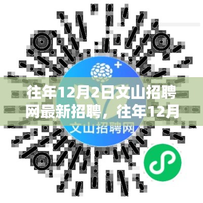 往年12月2日文山招聘网最新招聘详解与求职全攻略