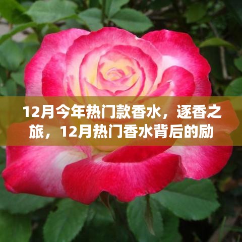 逐香之旅，揭秘十二月热门香水背后的励志故事与迷人香气