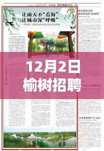 榆树招聘最新一期报纸，巷弄风味探秘——走进特色小店的招聘之旅
