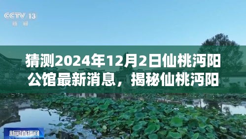 揭秘仙桃沔阳公馆，最新消息、未来预测与深度评测报告（2024年12月）