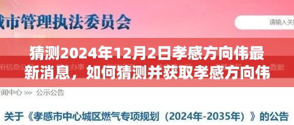 孝感方向伟最新消息揭秘，详细步骤指南猜测与获取方法（预测至2024年12月2日）