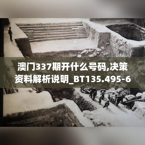 澳门337期开什么号码,决策资料解析说明_BT135.495-6