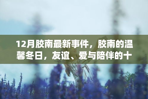 胶南温馨冬日，友谊、爱与陪伴的十二月日常故事