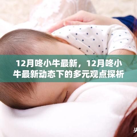 12月咚小牛最新动态下的多元观点探析