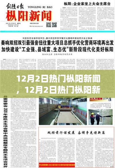 12月2日热门枞阳新闻全面解读，特性、体验、竞争分析与目标用户群体