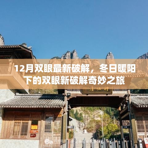 冬日暖阳下的双眼新破解探索之旅