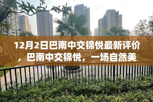 巴南中交锦悦，探索自然美景，体验心灵宁静之旅的最新评价