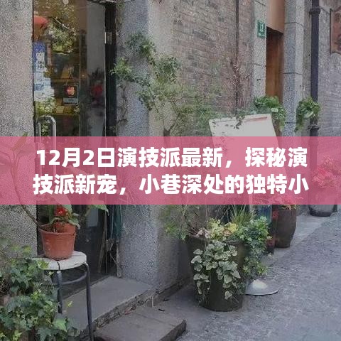 独家揭秘演技派新宠，小巷深处的独特小店
