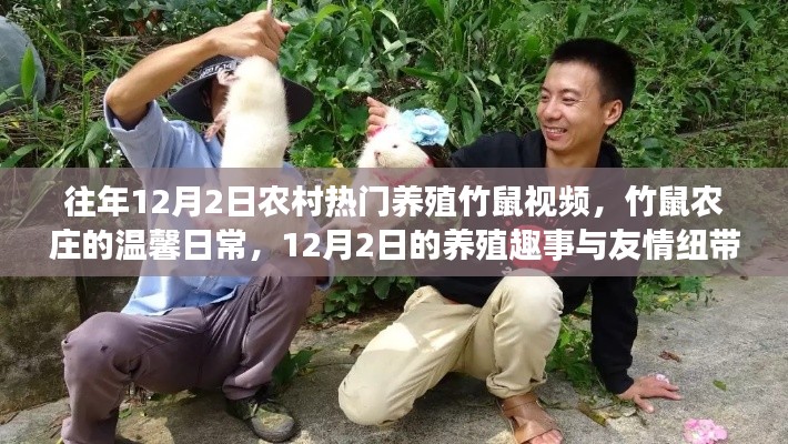 农村竹鼠农庄的温馨日常,养殖趣事与友情纽带,竹鼠视频回顾(往年12月2日)