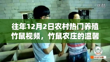 农村竹鼠农庄的温馨日常,养殖趣事与友情纽带,竹鼠视频回顾(往年12月2日)