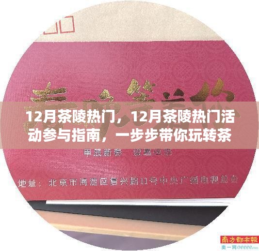 玩转茶文化体验之旅，12月茶陵热门活动参与指南