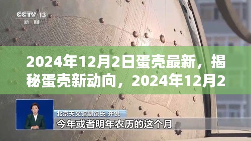 模特 第212页