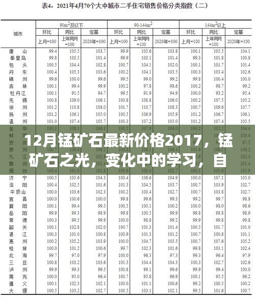 锰矿石之光，探索最新价格变化，学习成就感的源泉