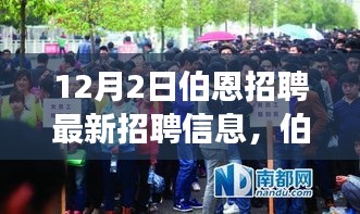 伯恩最新招聘动态，启程自然之旅，探寻内心宁静与美景交融之旅