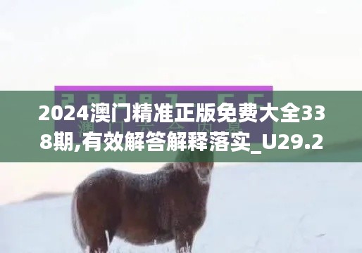 2024澳门精准正版免费大全338期,有效解答解释落实_U29.296-1