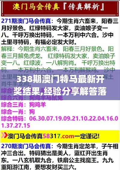 338期澳门特马最新开奖结果,经验分享解答落实_创意版24.872-9