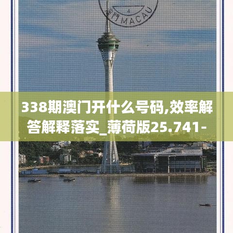 338期澳门开什么号码,效率解答解释落实_薄荷版25.741-5