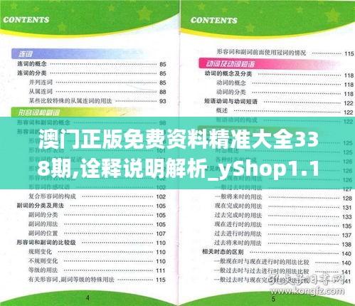 澳门正版免费资料精准大全338期,诠释说明解析_yShop1.178-2