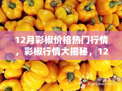 优秀摄影 第208页