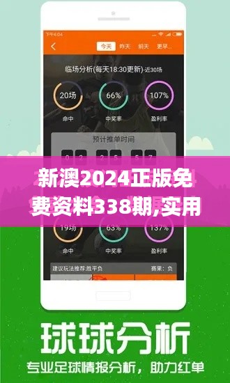 新澳2024正版免费资料338期,实用性执行策略讲解_游戏版17.850-6