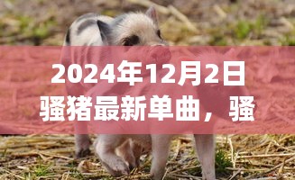骚猪之歌，自然美景的心灵启示之旅（2024年最新单曲）