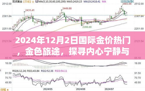 探寻内心宁静与揭秘国际金价之谜，金色旅途的启示（2024年12月2日）