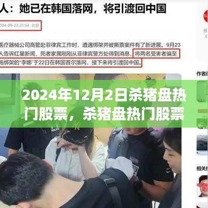 揭秘杀猪盘热门股票背后的神秘世界，探寻内心平静的奇妙旅程（2024年12月2日）