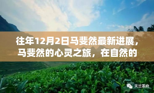 马斐然的心灵之旅，自然怀抱中的宁静与乐趣新进展