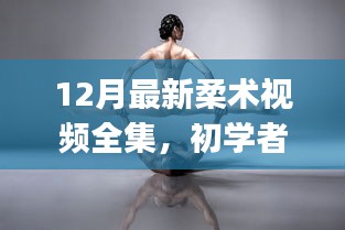 12月最新柔术视频全集,初学者与进阶者的学习指南