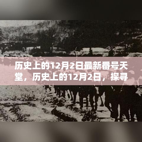 建议，，探寻历史上的12月2日，那些值得铭记的瞬间，远离低俗迷雾，追寻真实历史足迹。