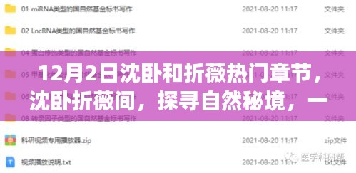 沈卧折薇间，探寻自然秘境，心灵洗涤之旅