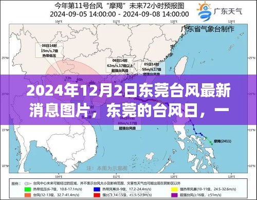 东莞台风日温馨日常故事，最新台风消息与图片分享