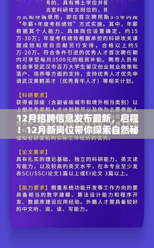 12月新岗位招聘启幕，探索自然秘境，寻找心灵宁静之旅