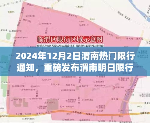 鸟飞兔走 第2页