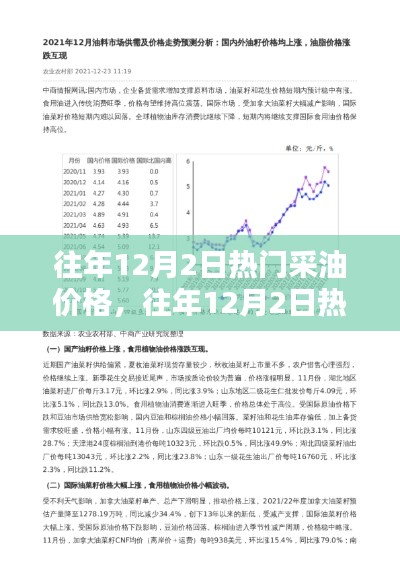 入门指南,往年12月2日热门采油价格查询与分析概览