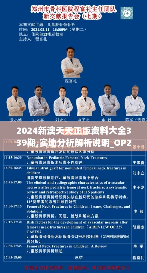 2024新澳天天正版资料大全339期,实地分析解析说明_OP28.302-7