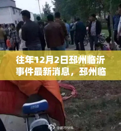 邳州临沂事件最新动态，深度解析、回顾与反思