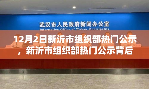 新沂市组织部热门公示背后的深度探析与观点探析