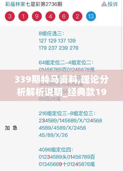 339期特马资料,理论分析解析说明_经典款19.803-1