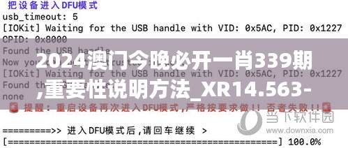 2024澳门今晚必开一肖339期,重要性说明方法_XR14.563-1