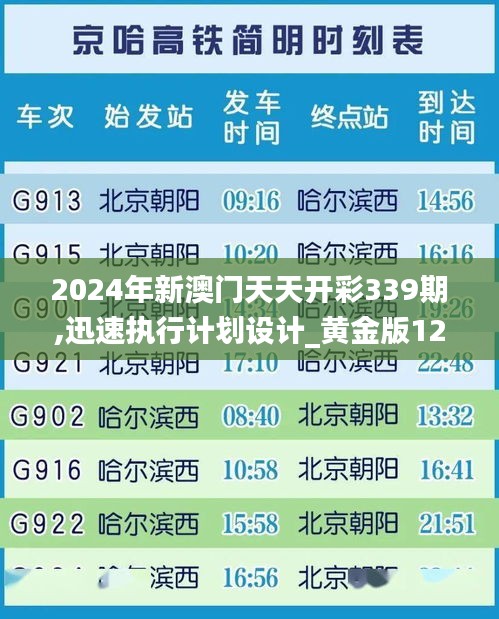 2024年新澳门天天开彩339期,迅速执行计划设计_黄金版121.370-4
