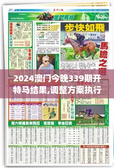 2024澳门今晚339期开特马结果,调整方案执行细节_模拟版144.206-5