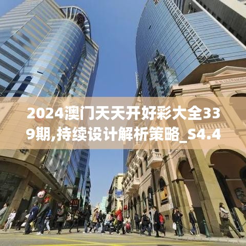 2024澳门天天开好彩大全339期,持续设计解析策略_S4.411-6