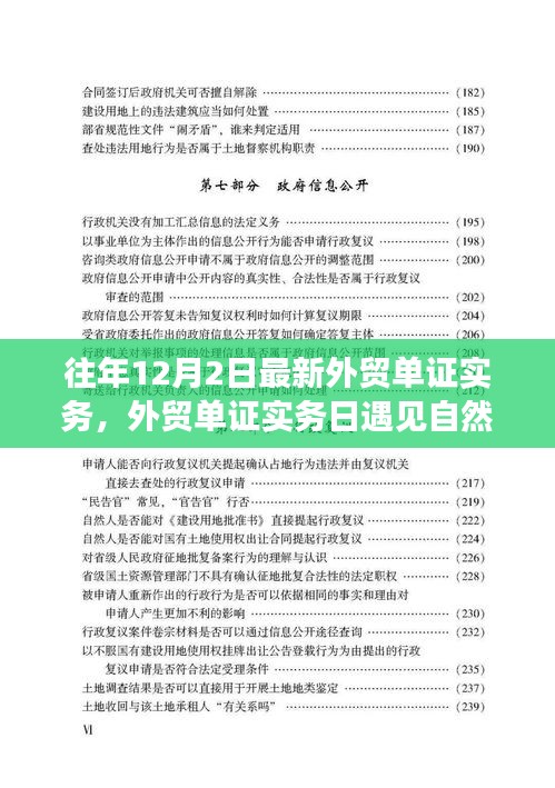 外贸单证实务中的心灵之旅，与自然美景相遇，寻找内心平静